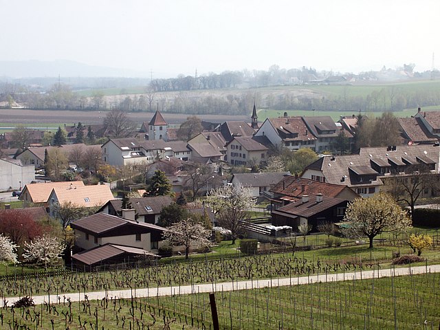 Commune de Cornaux